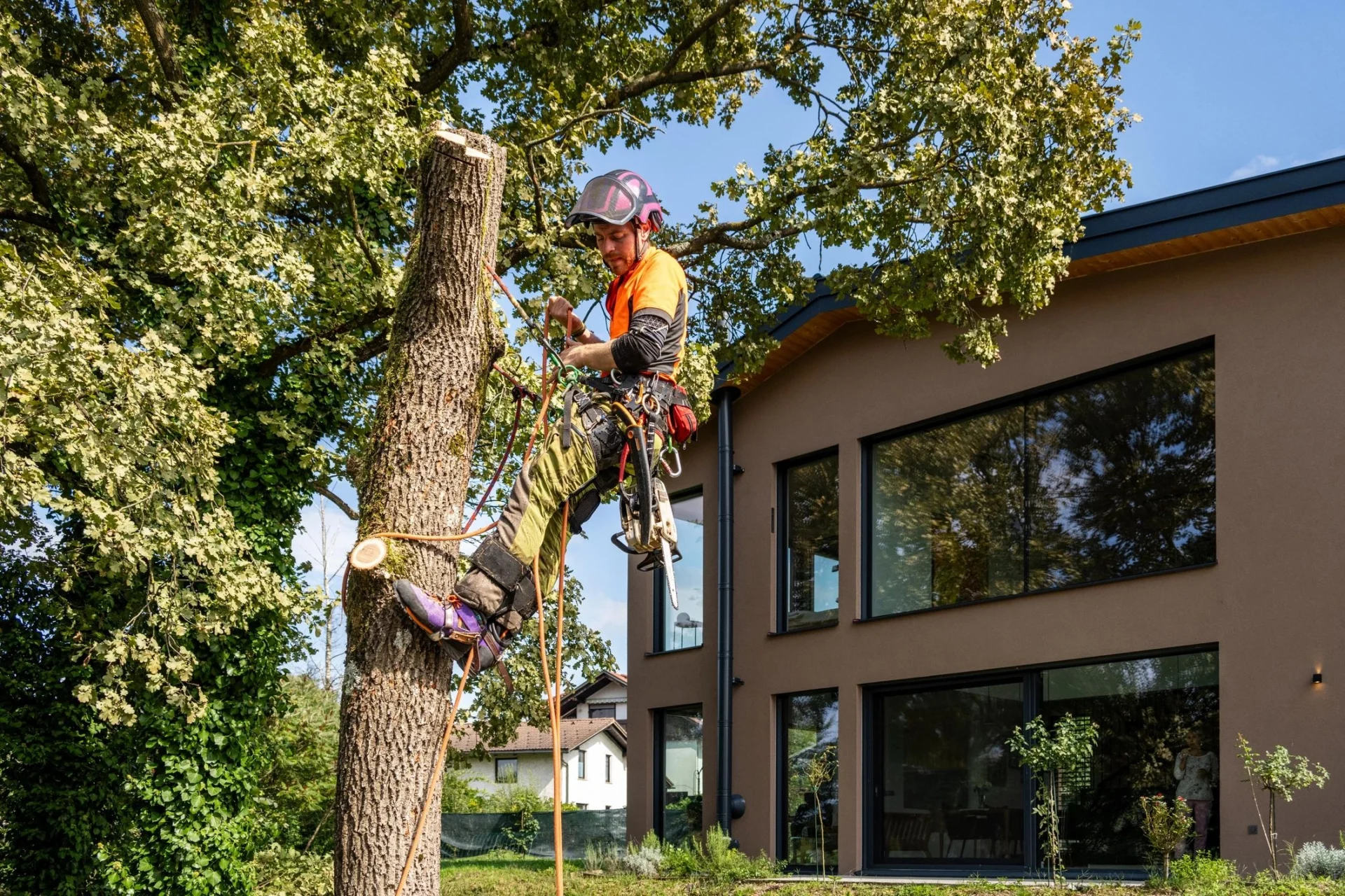 Tree surgeon trimming branches near modern house.