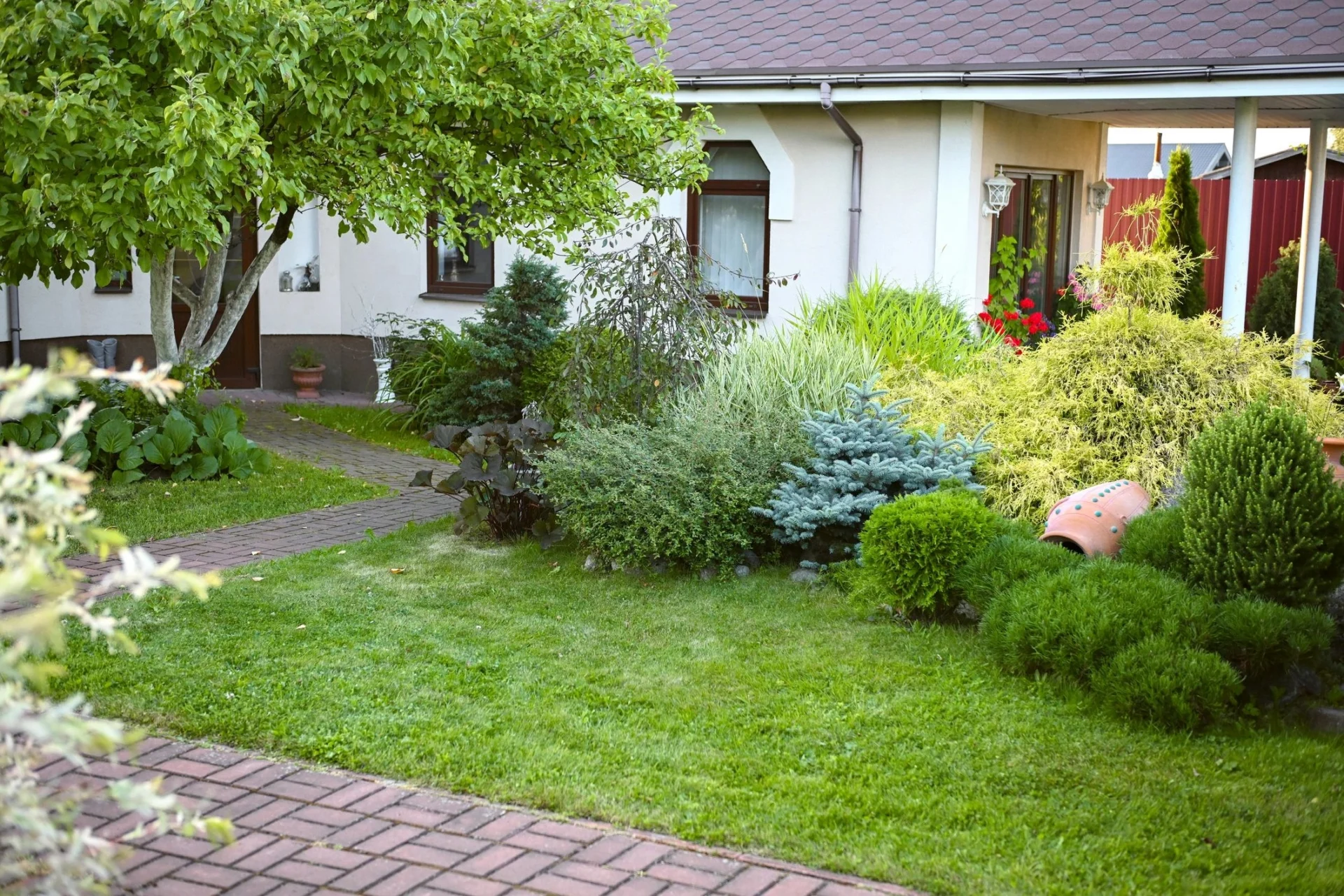 Lush garden with shrubs and paved path.
