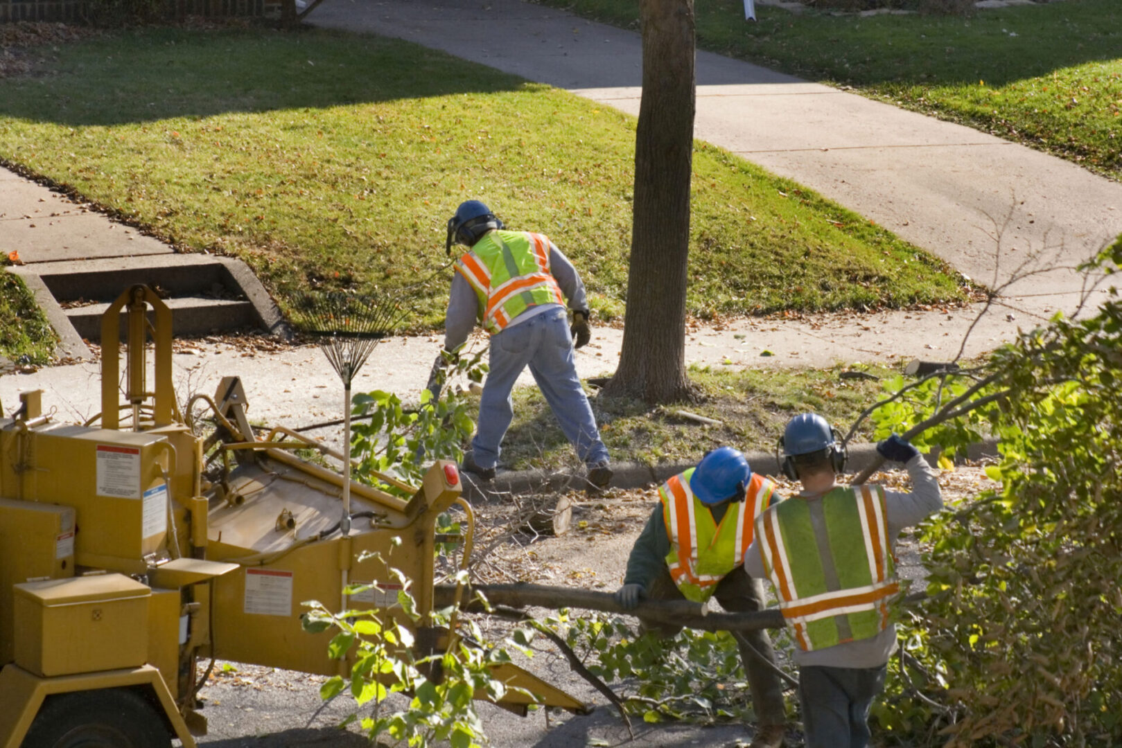 Workers clearing fallen branches with machinery.