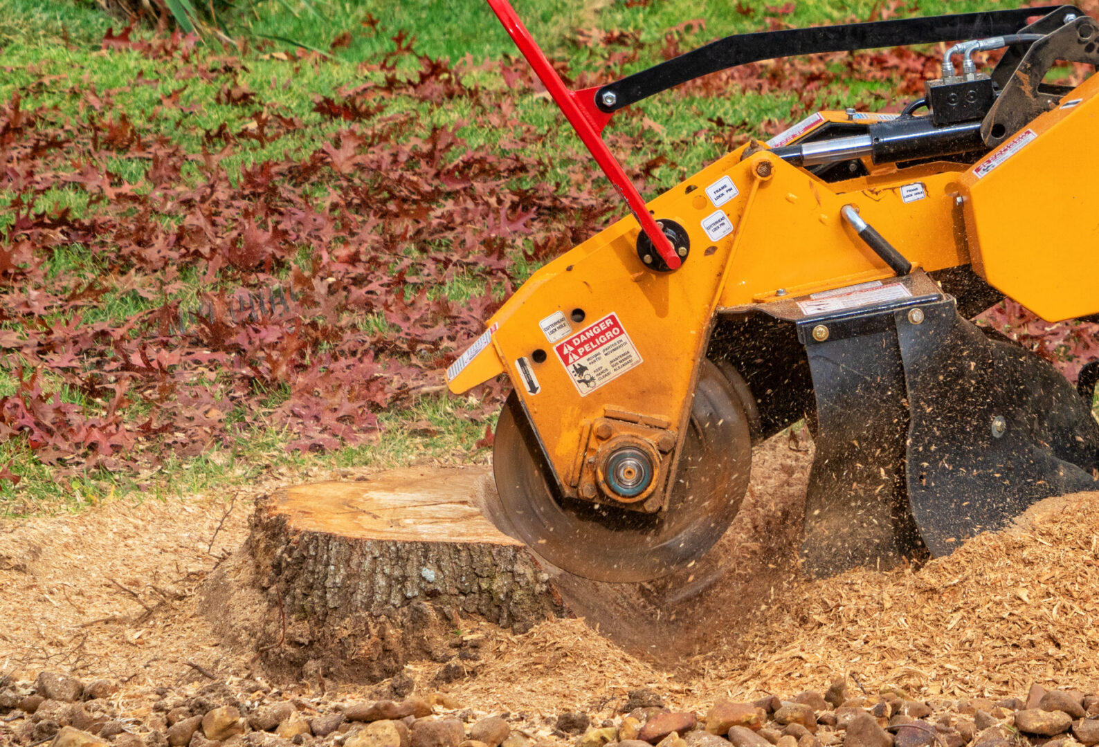 Stump grinder cutting a tree stump.