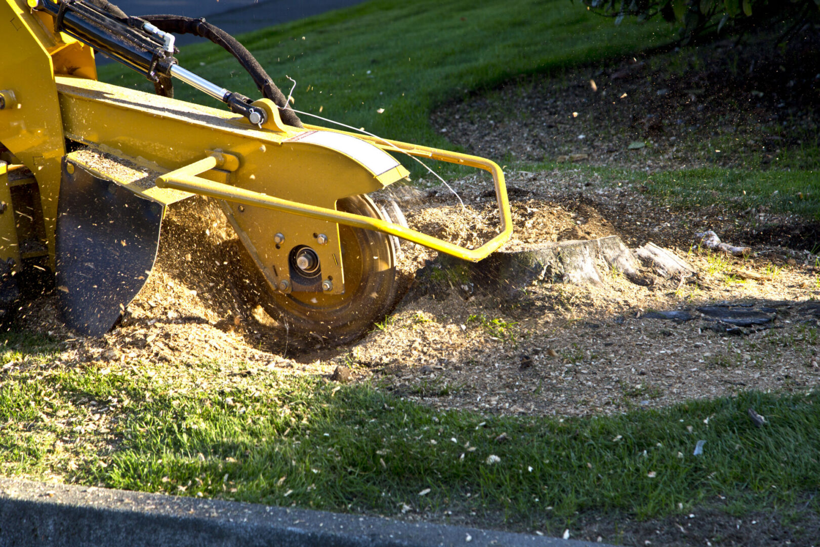 Yellow stump grinder cutting a tree stump.